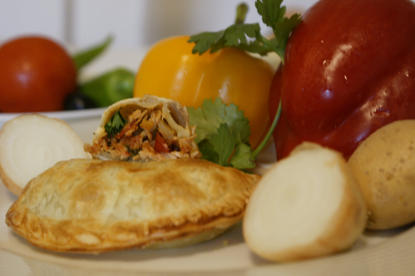 Empanada Ecuador 100er Karton